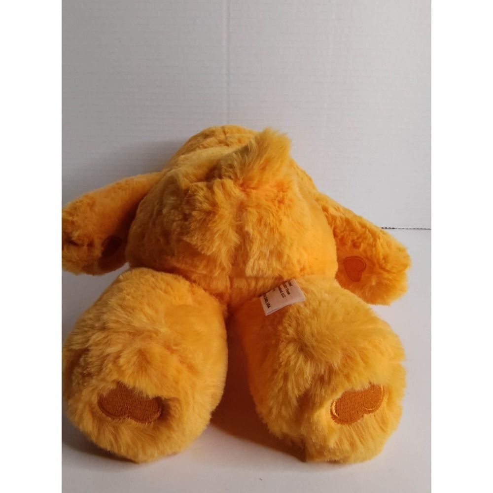 CARE BEARS Friend Bear Basic Fun Yellow Flowers 12" Orange Soft Plush 2021 - Picture 6 of 8